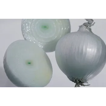 Frozen Onion (18)-4573579-54743.webp